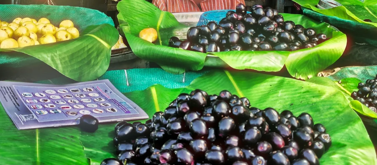 Fresh jamun fruits on banana leaves at a market