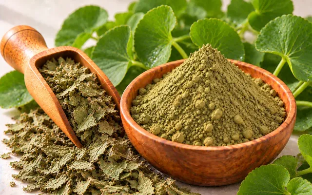 Botanical Extracts for Cosmetics: How to Choose a Supplier for Skincare and Haircare