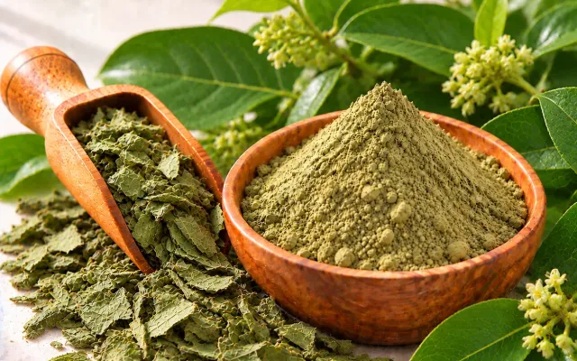 Gymnema Sylvestre Extract: 25% vs 75% Gymnemic Acids Explained