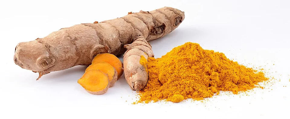 Fresh turmeric root and ground turmeric powder