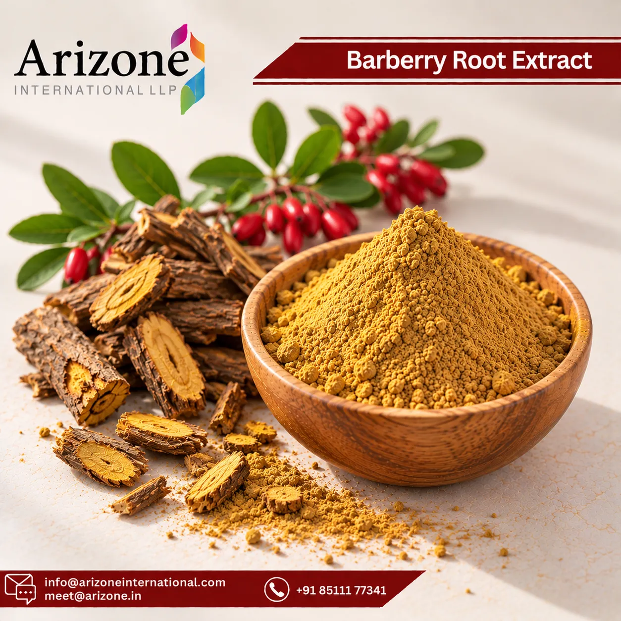 Barberry Root Extract