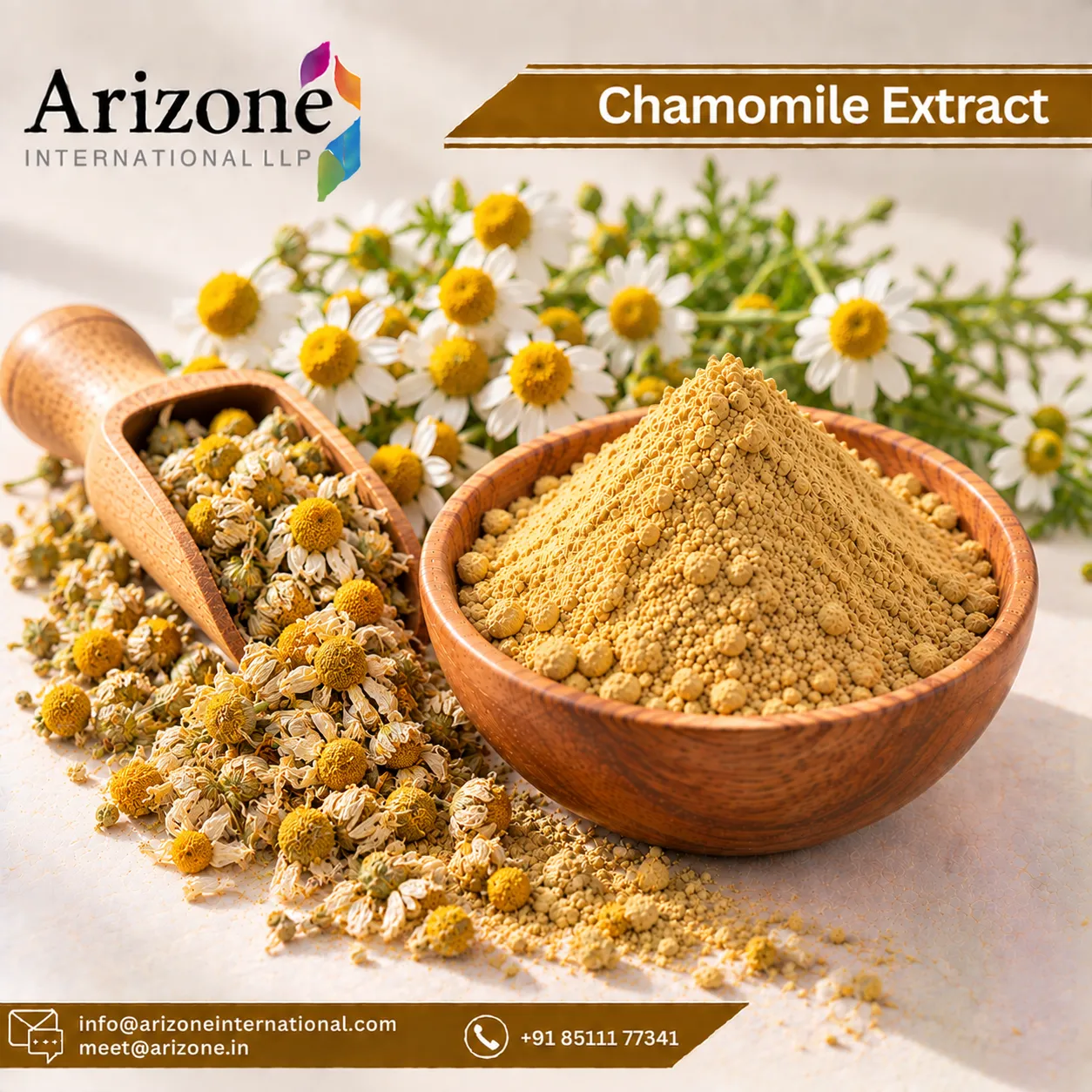 Chamomile Extract