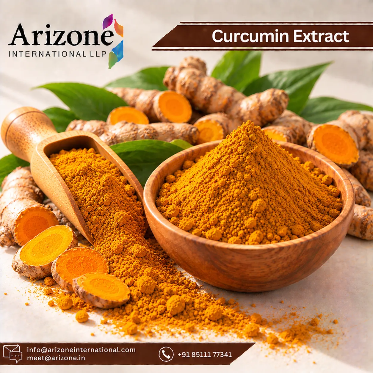 Curcumin Extract