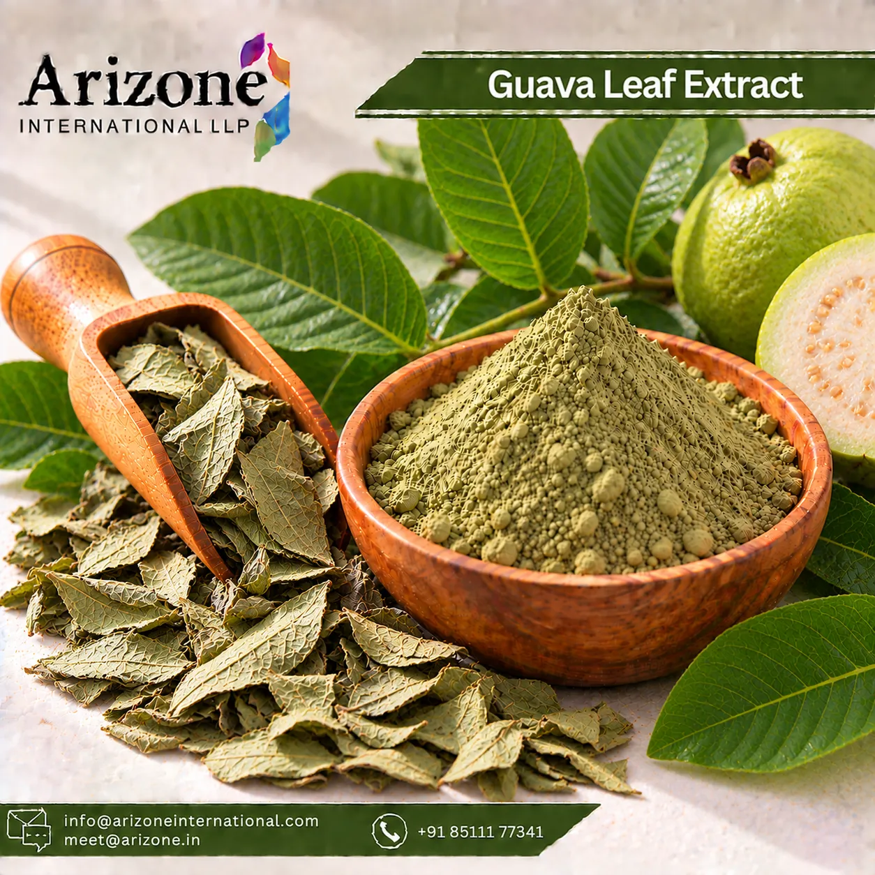 Guava Leaf Extract