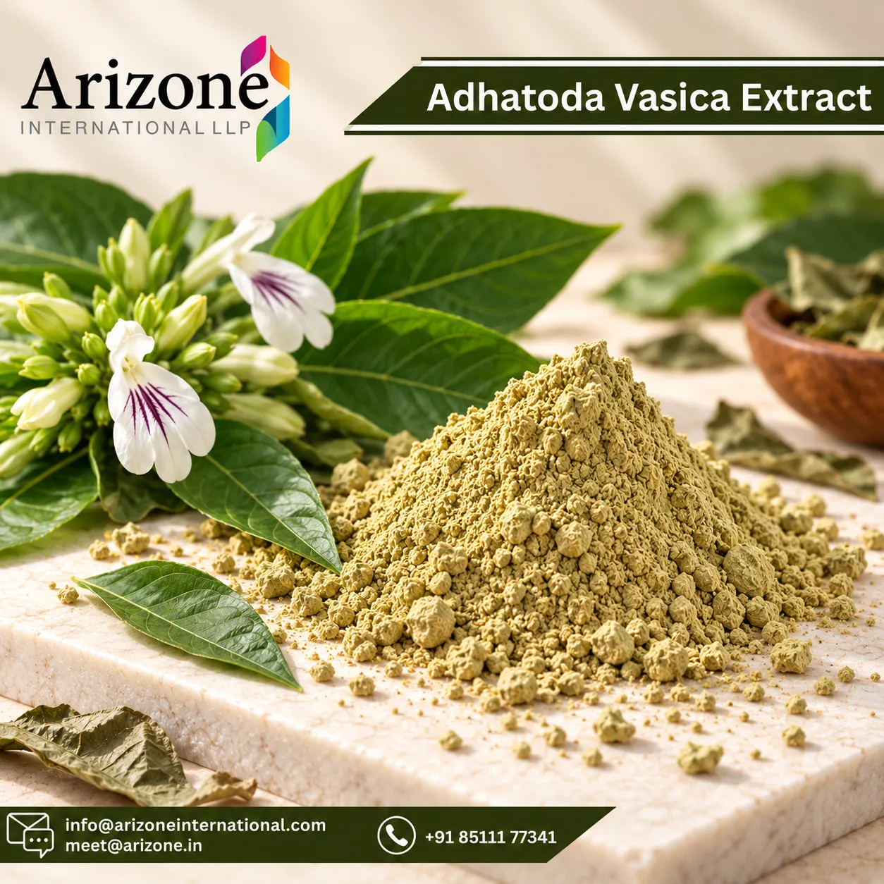 Adhatoda Vasica Extract