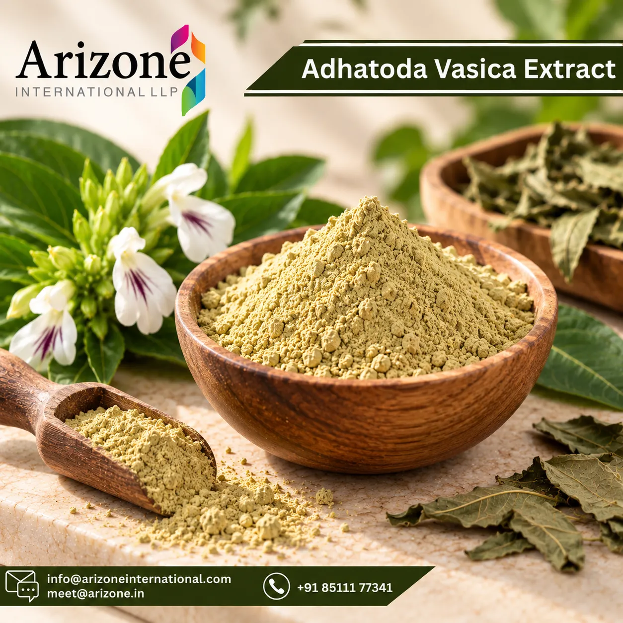 Adhatoda Vasica Extract photo 2