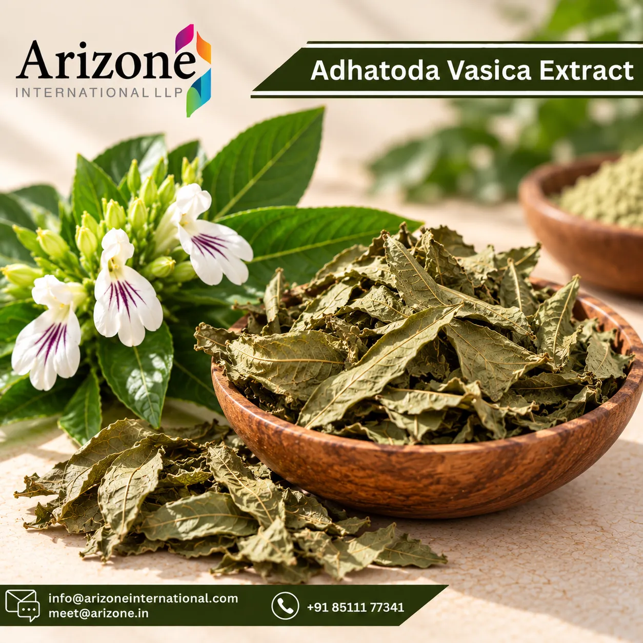 Adhatoda Vasica Extract photo 3