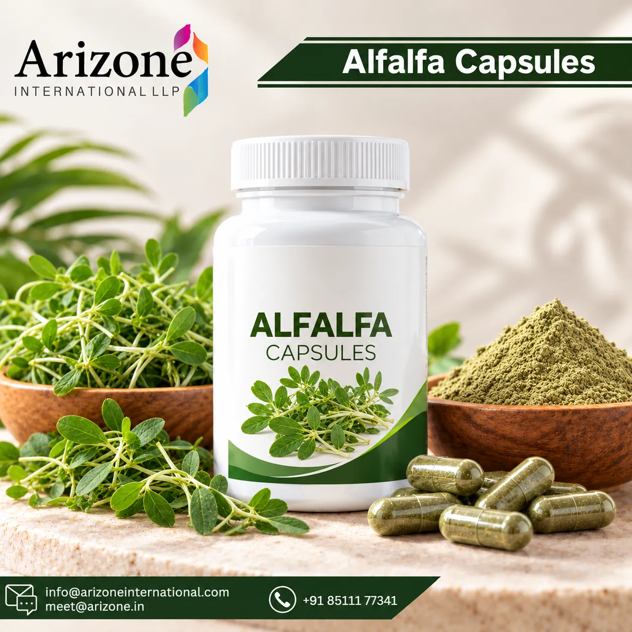 Alfalfa Capsules photo