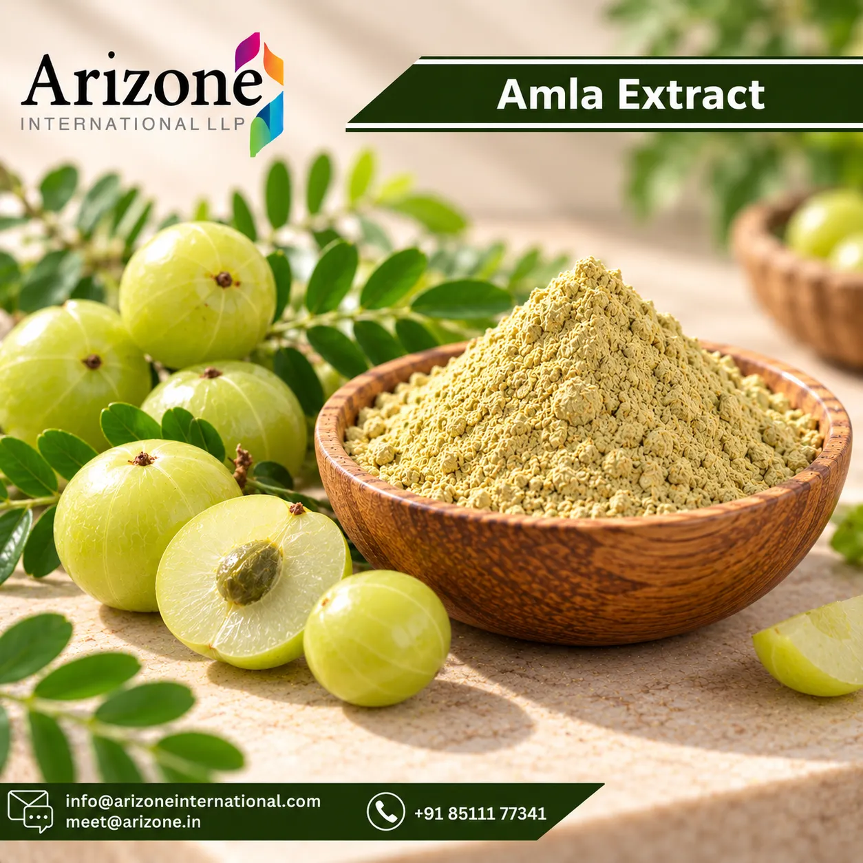 Herbal extract powder ready for export