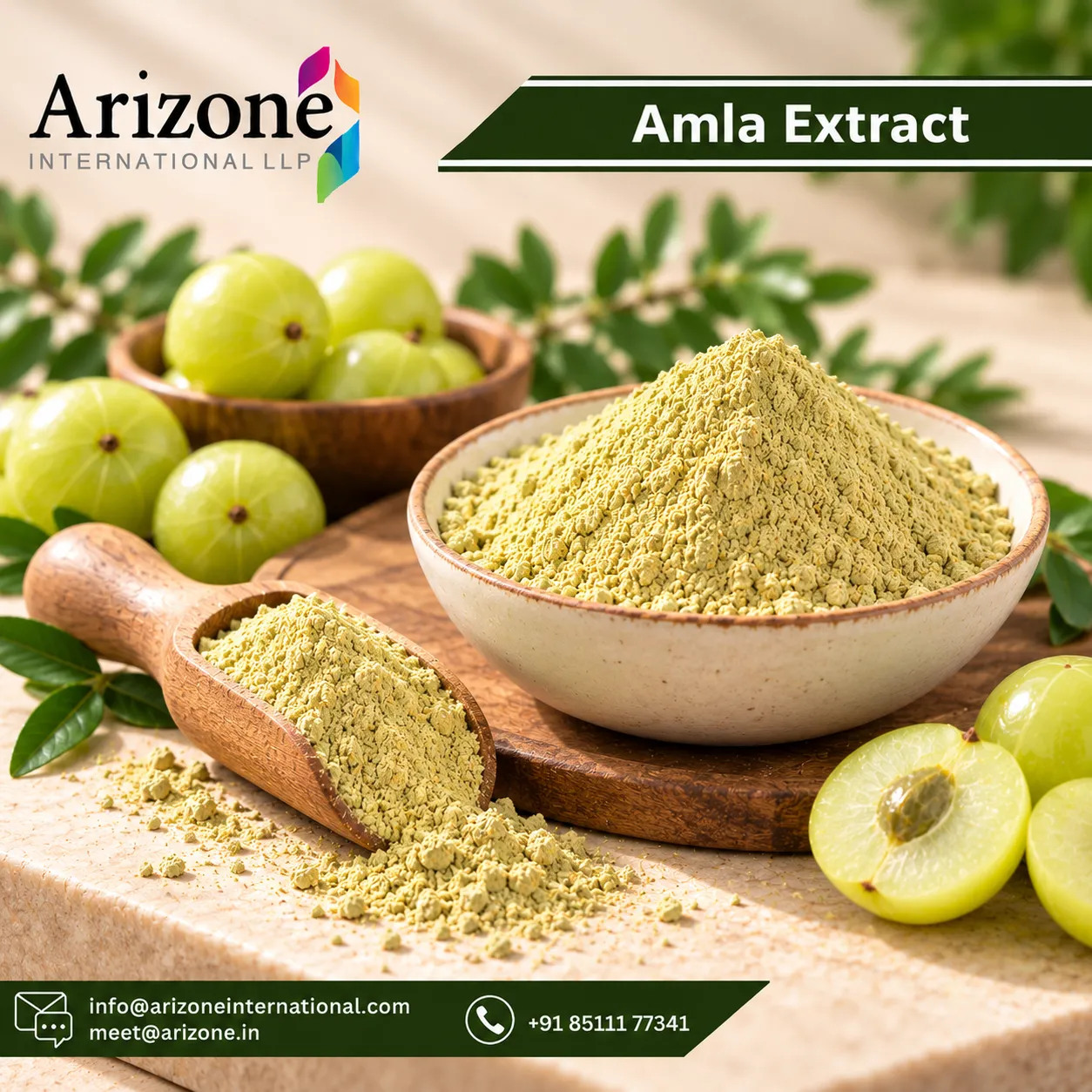 Amla Extract photo 2