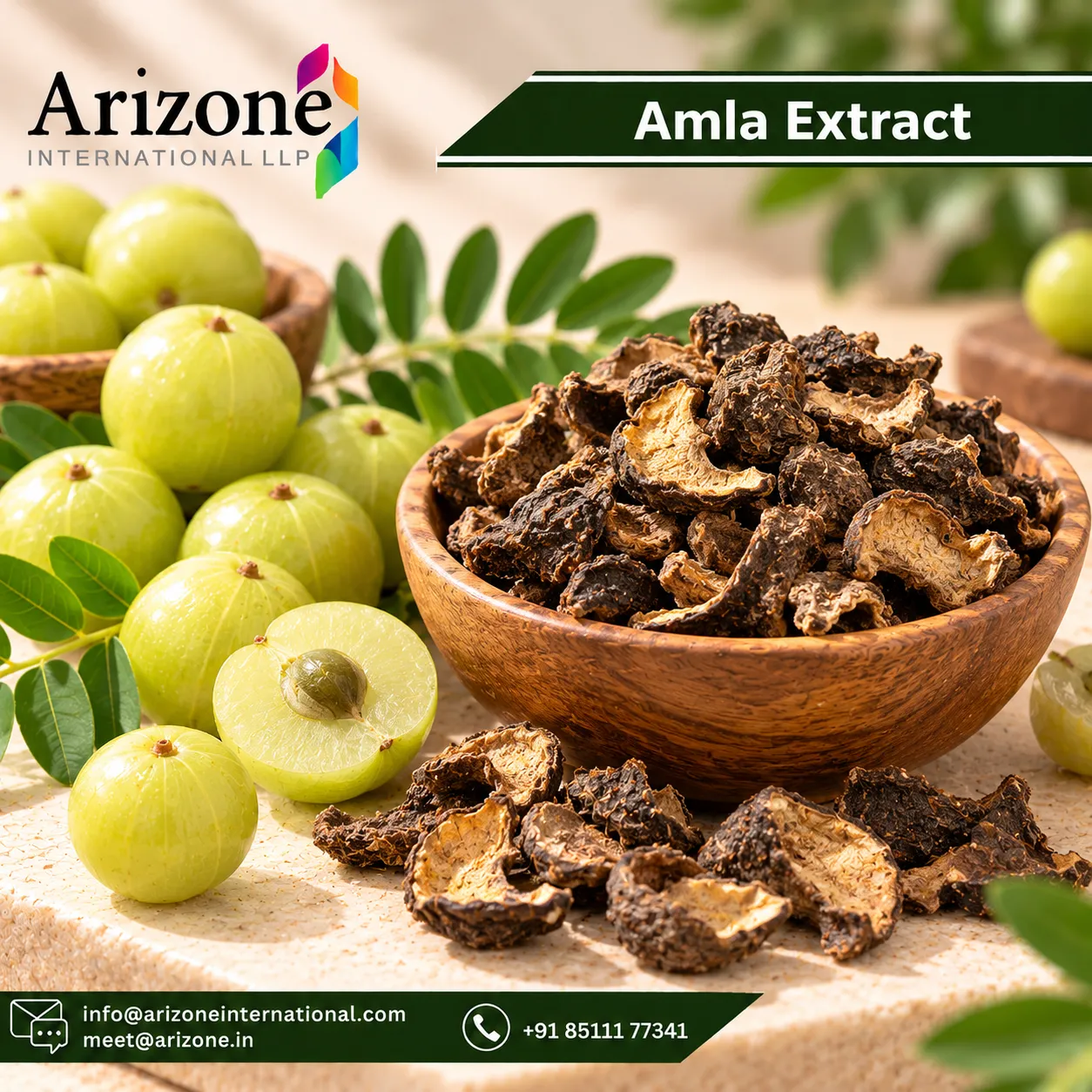 Amla Extract photo 3