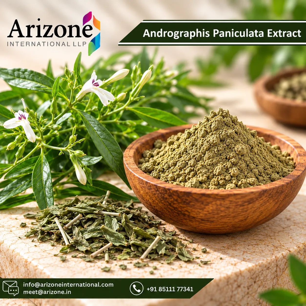 Andrographis Paniculata Extract