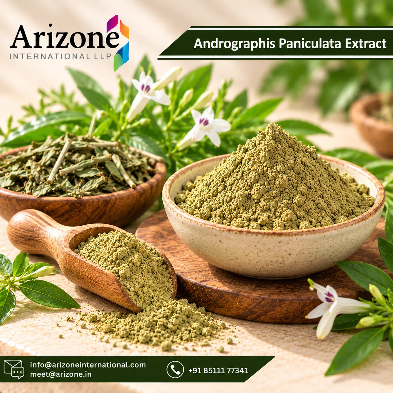 Andrographis Paniculata Extract photo 2