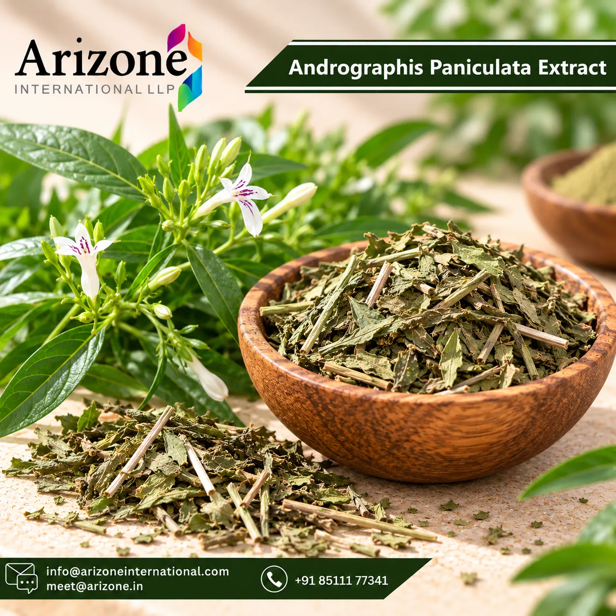 Andrographis Paniculata Extract photo 3