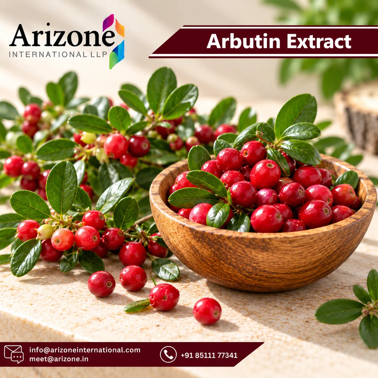 Arbutin Extract