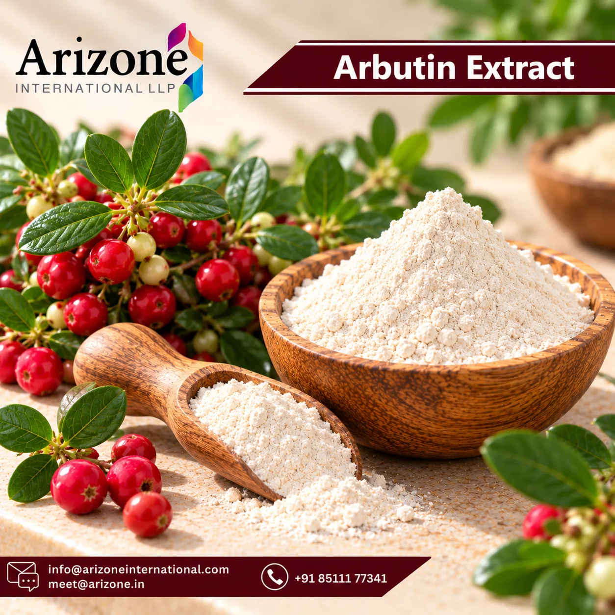 Arbutin Extract photo 2