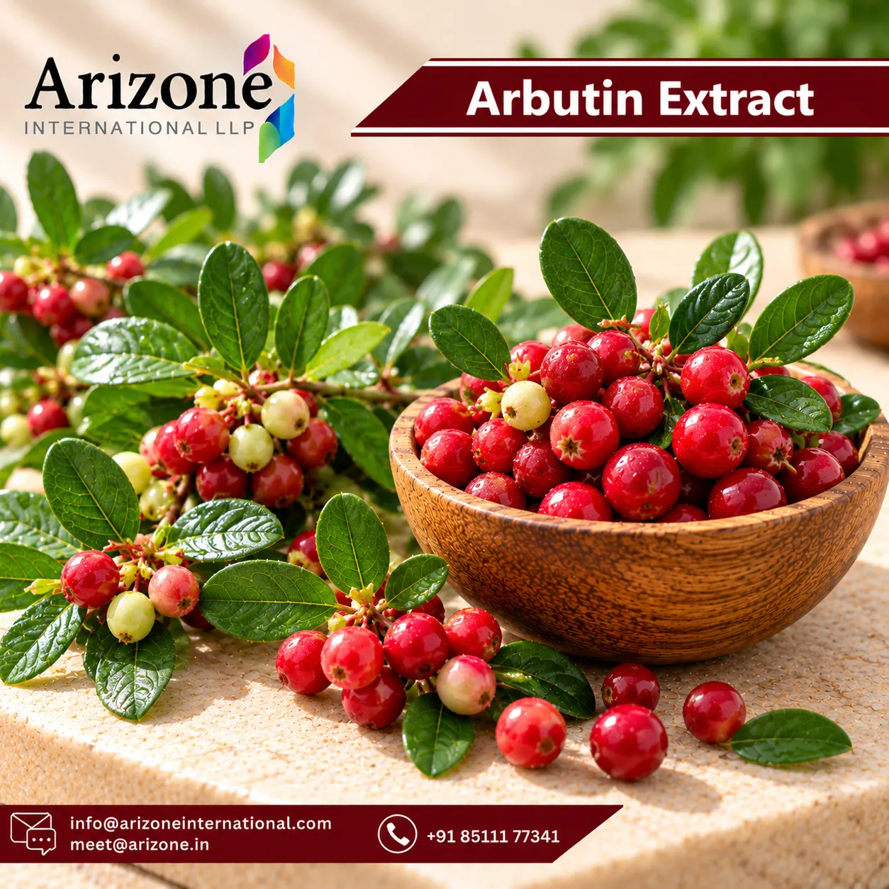 Arbutin Extract photo 3