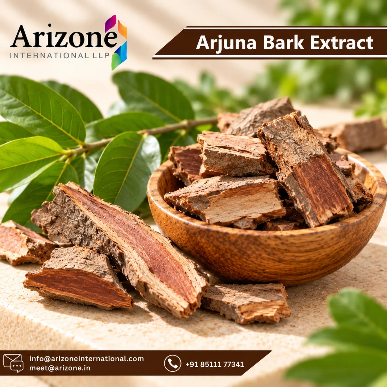 Arjuna Bark Extract photo 1