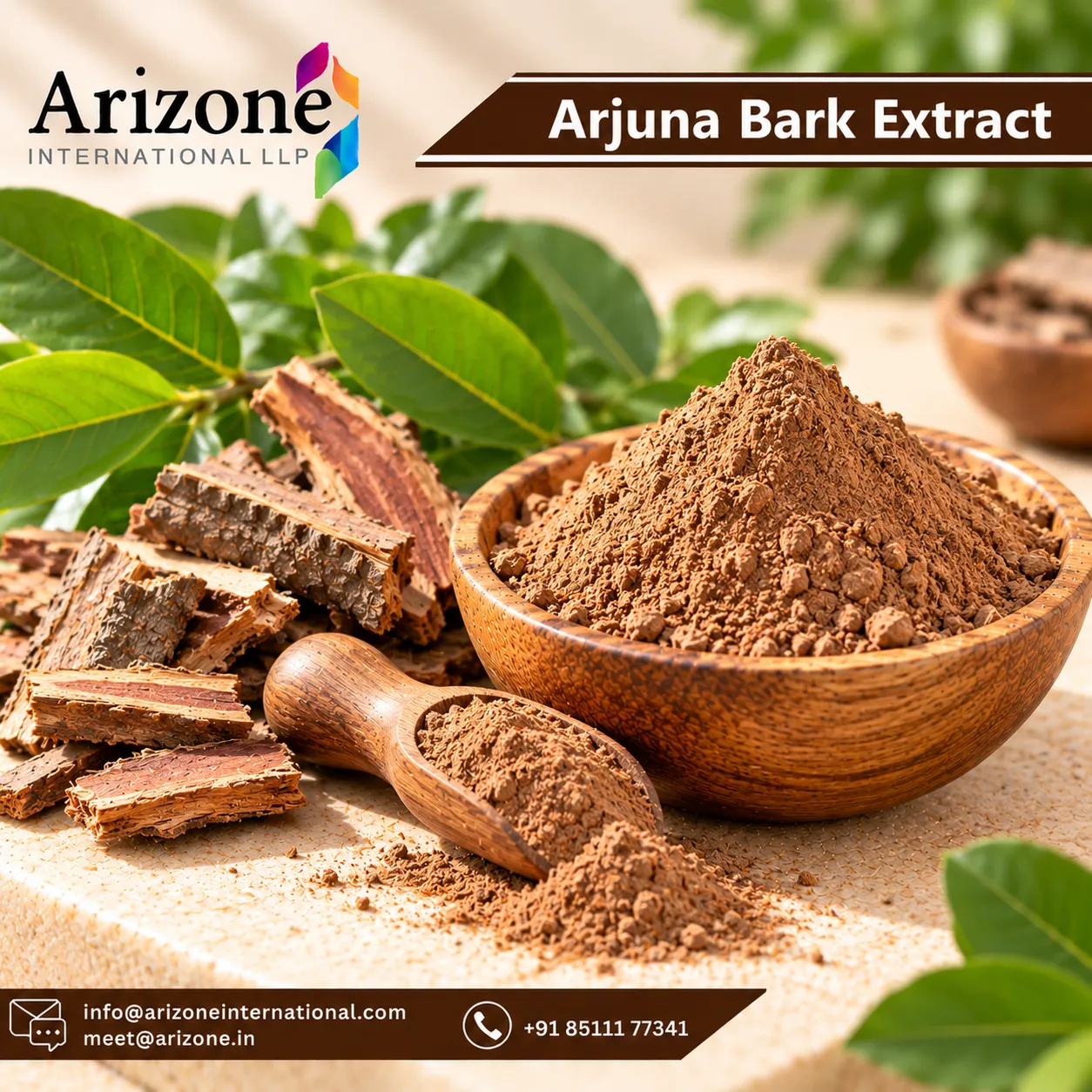 Arjuna Bark Extract photo 2