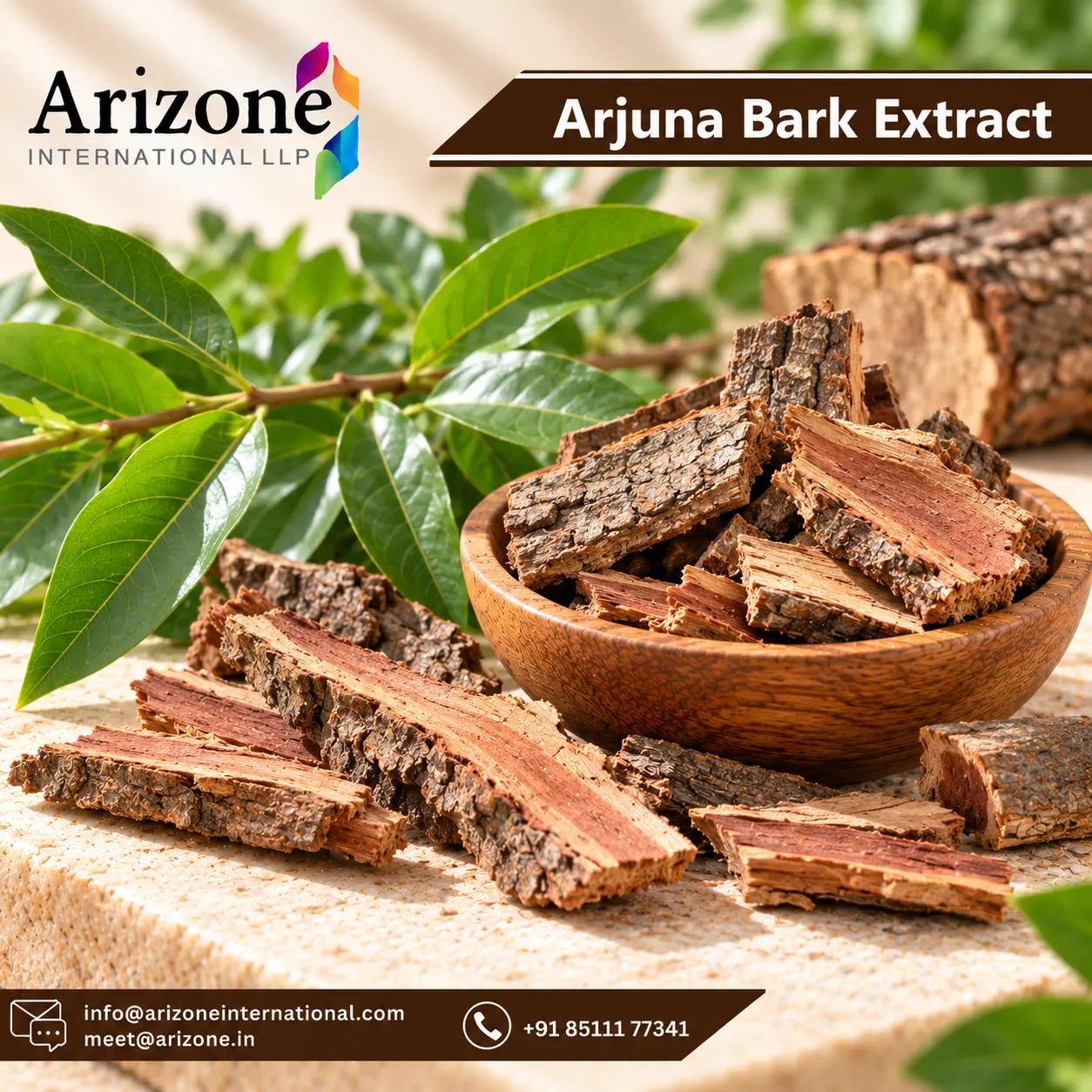 Arjuna Bark Extract photo 3