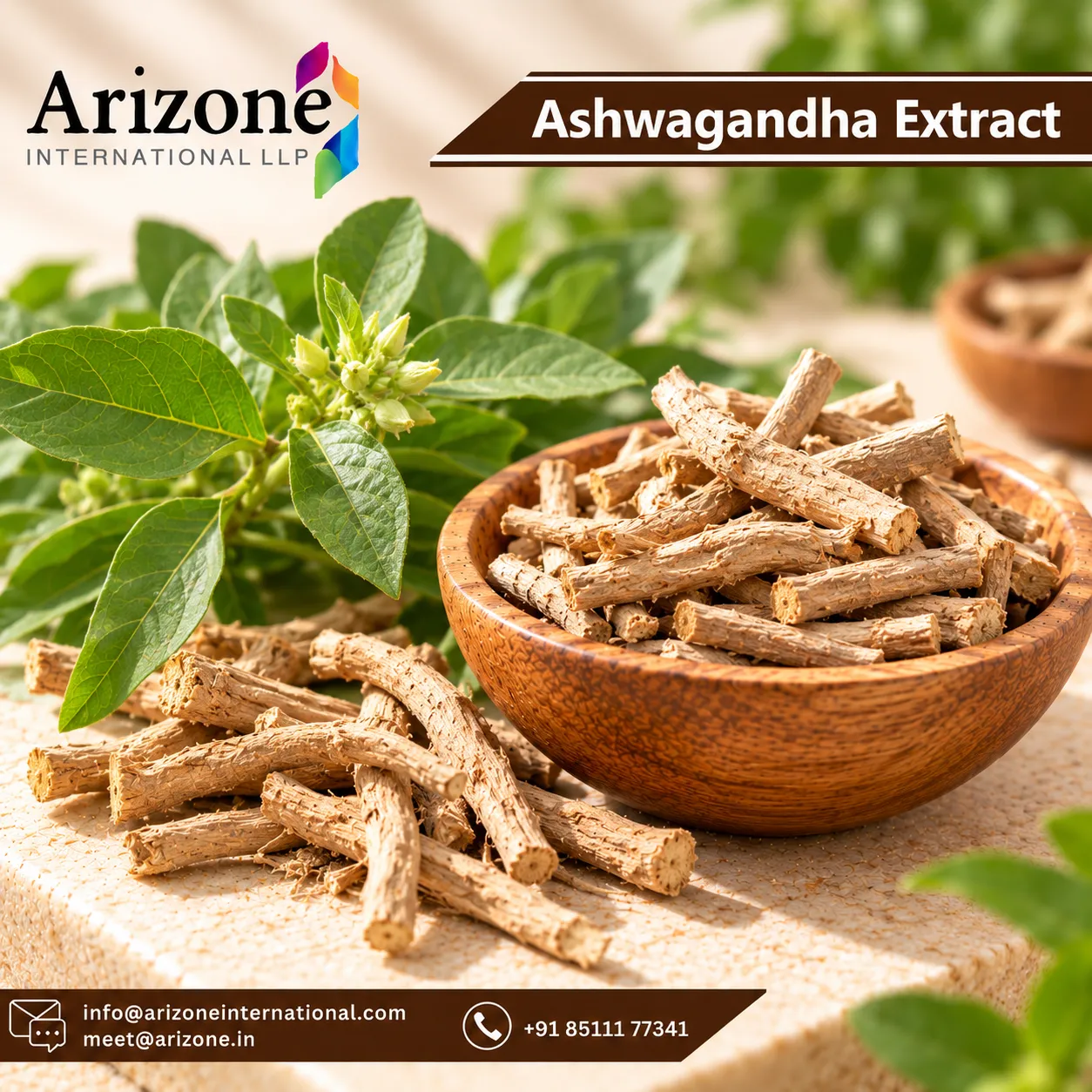 Ashwagandha root extract powder