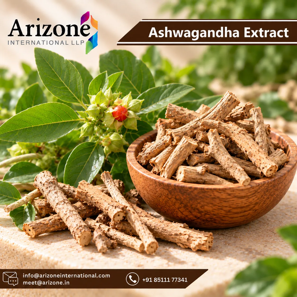 Ashwagandha Extract photo 2
