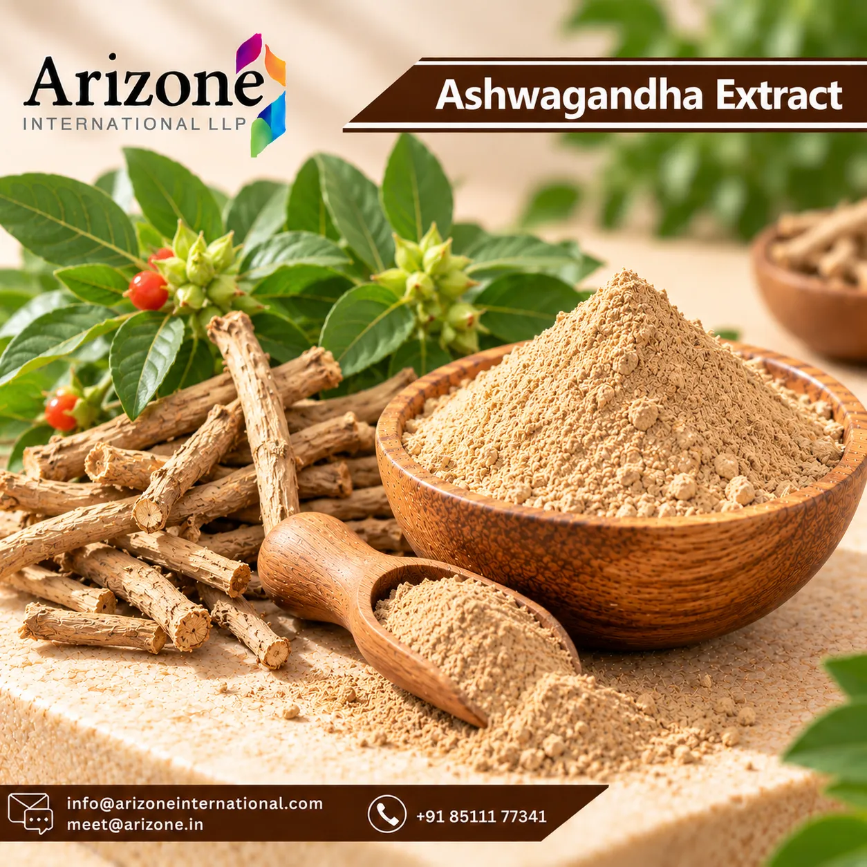 Ashwagandha Extract photo 3