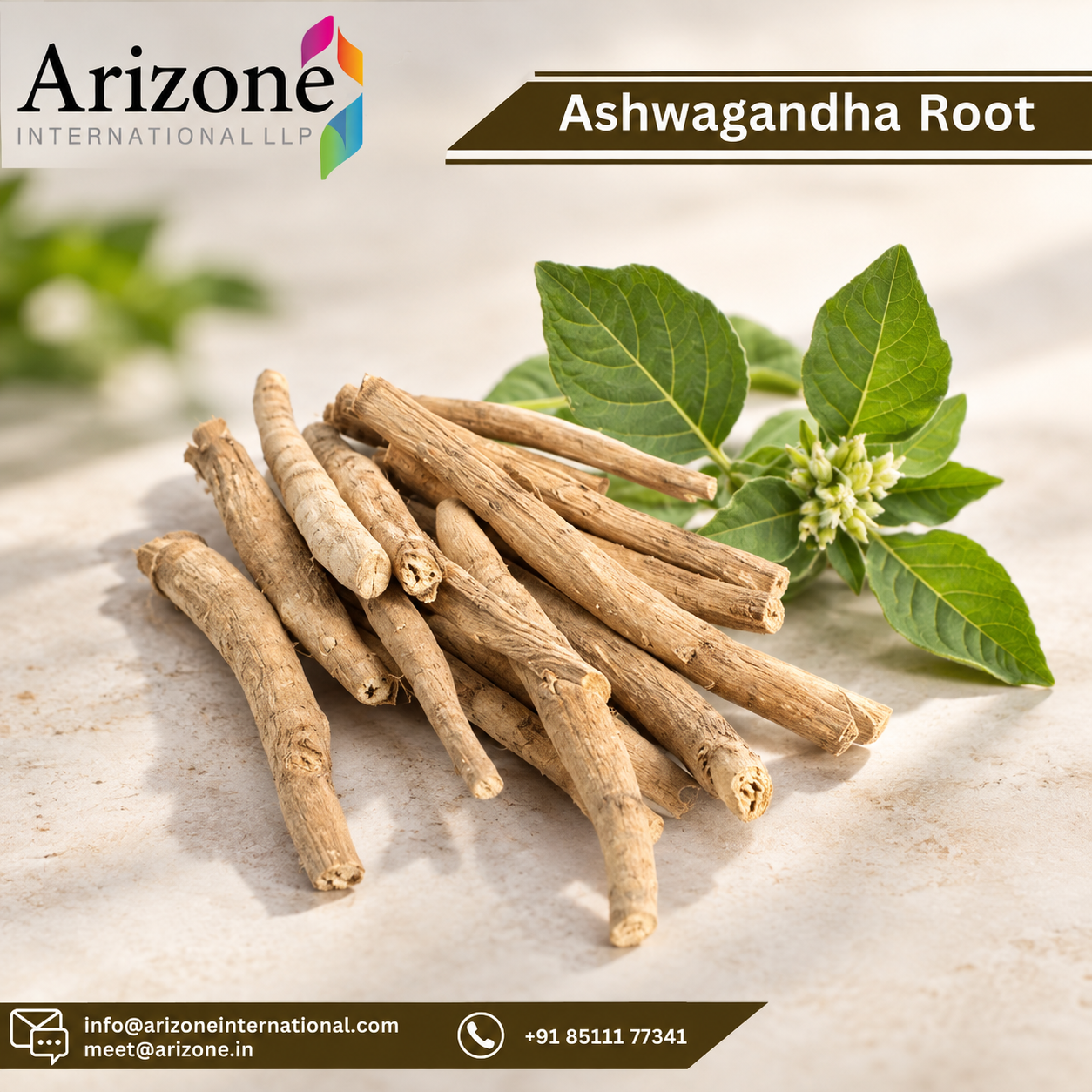 Ashwagandha photo 3