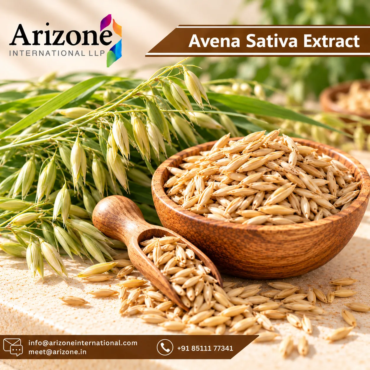 Avena Sativa Extract