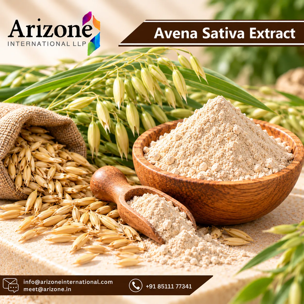 Avena Sativa Extract photo 2