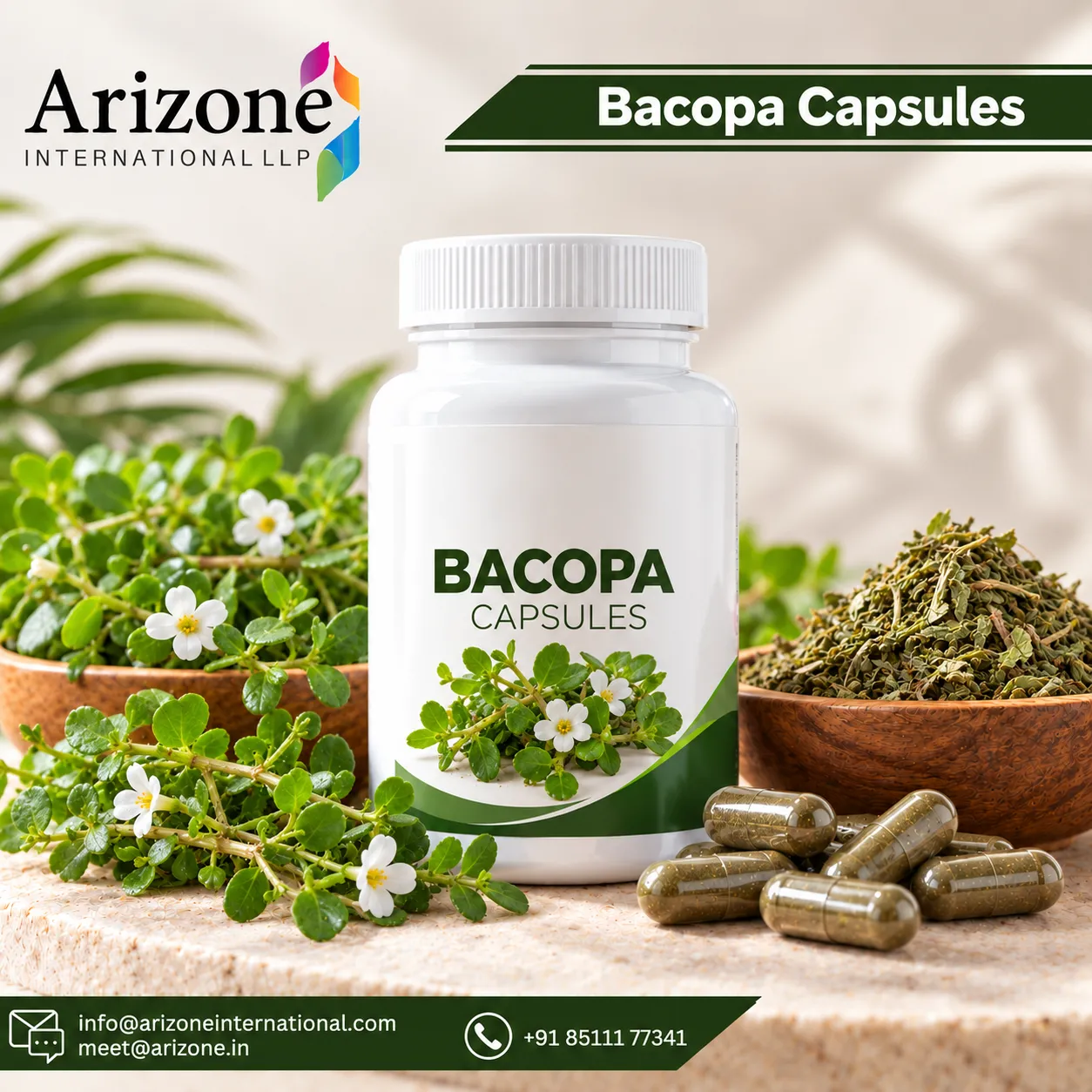 Bacopa Capsules