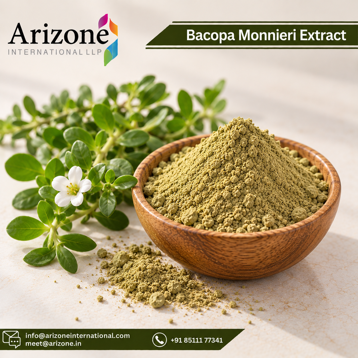 Bacopa Monnieri Extract