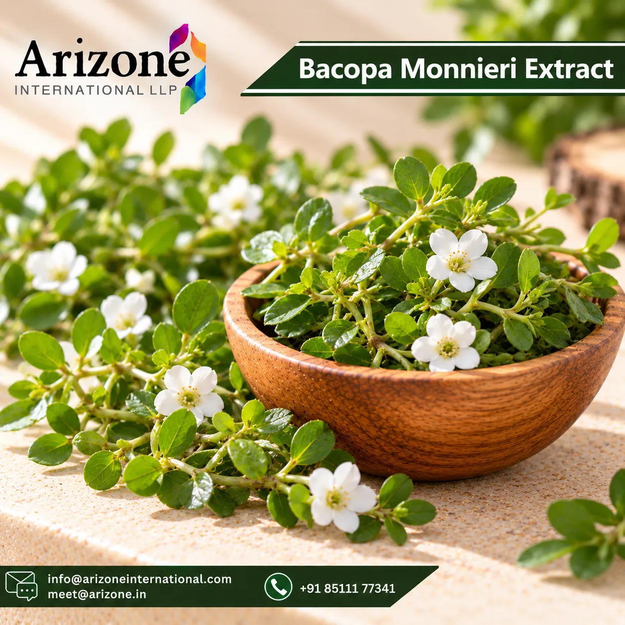 Bacopa Monnieri Extract