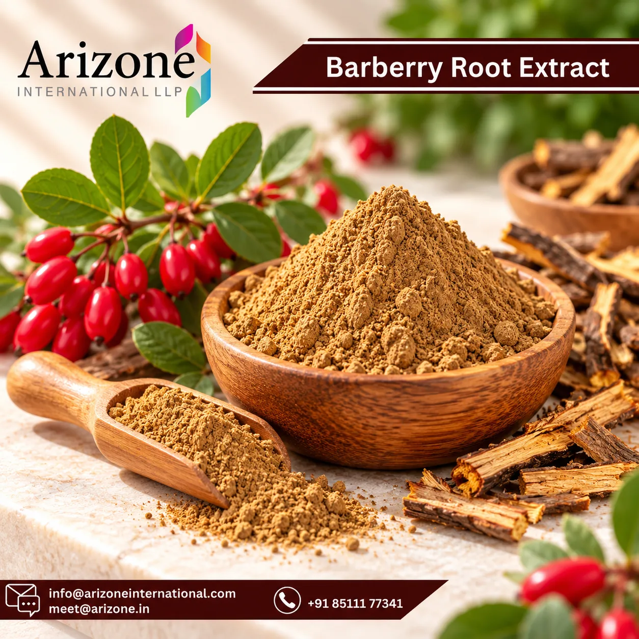 Barberry Root Bark Extract photo 1