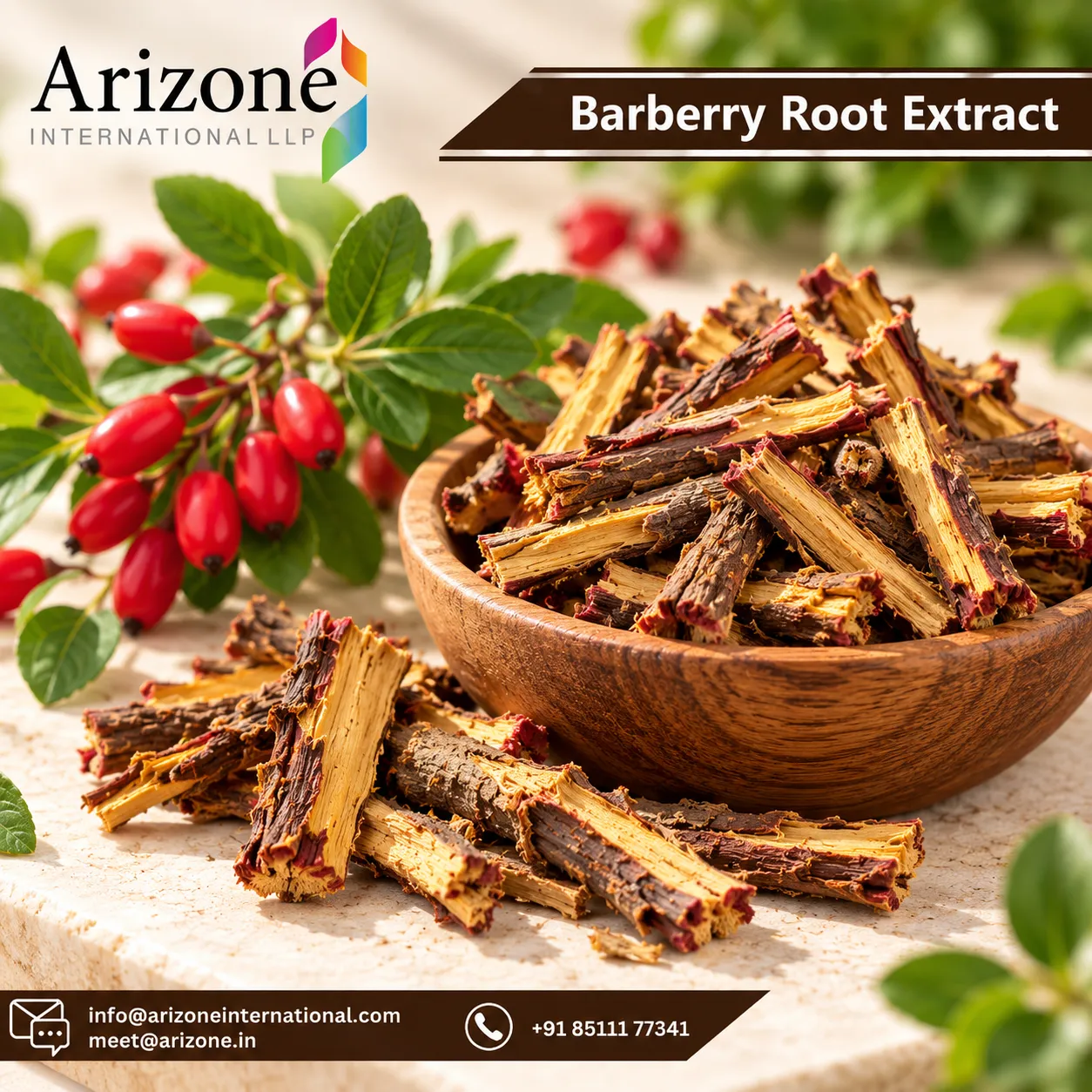 Barberry Root Bark Extract photo 3