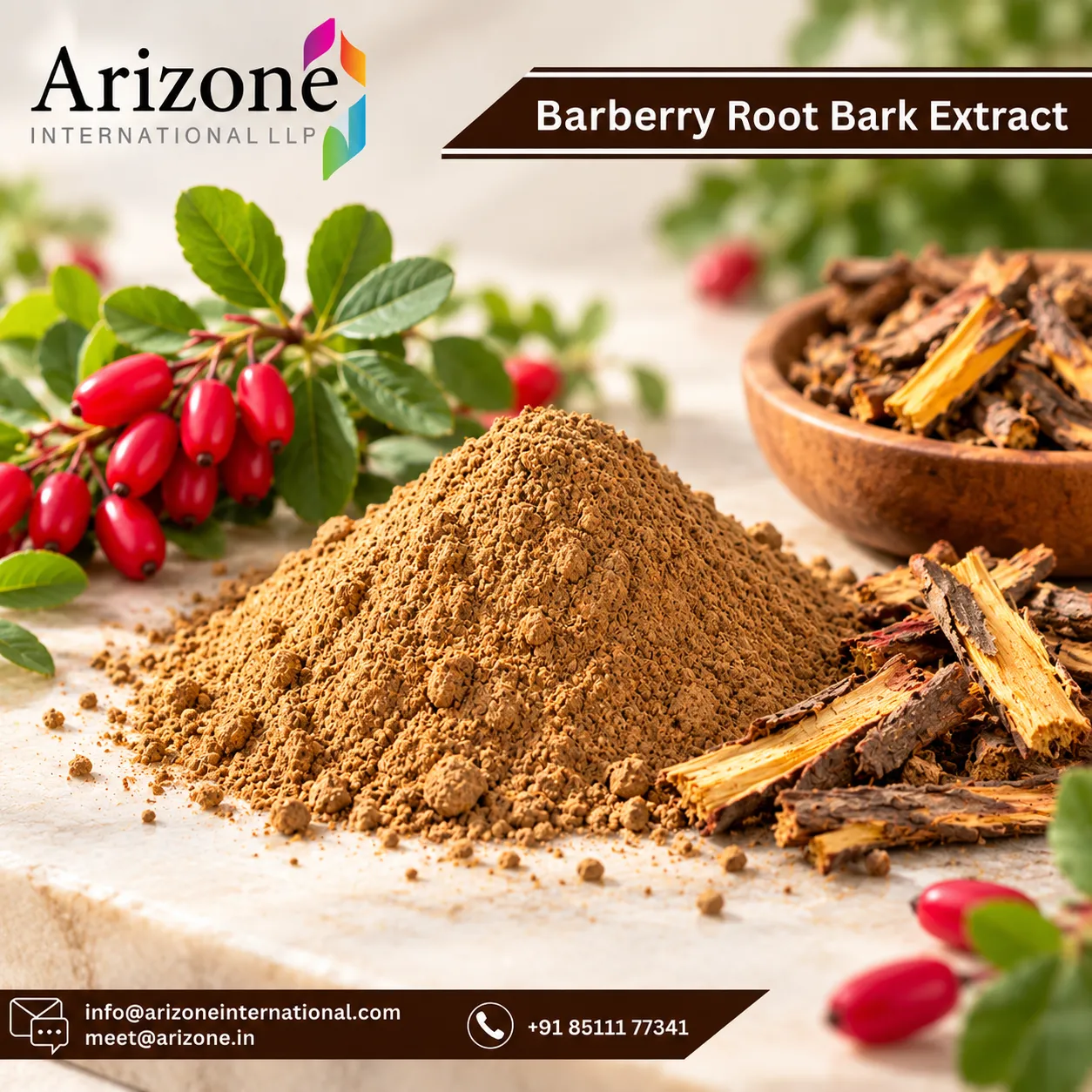 Barberry Root Extract photo 1