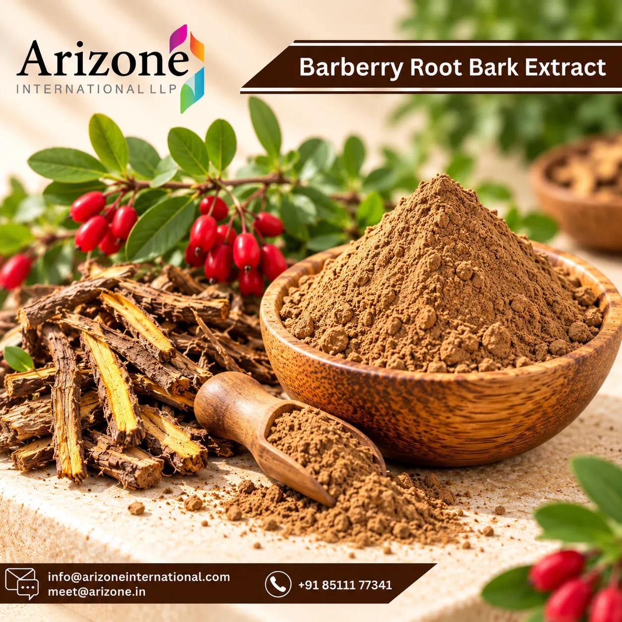 Barberry Root Extract photo 2