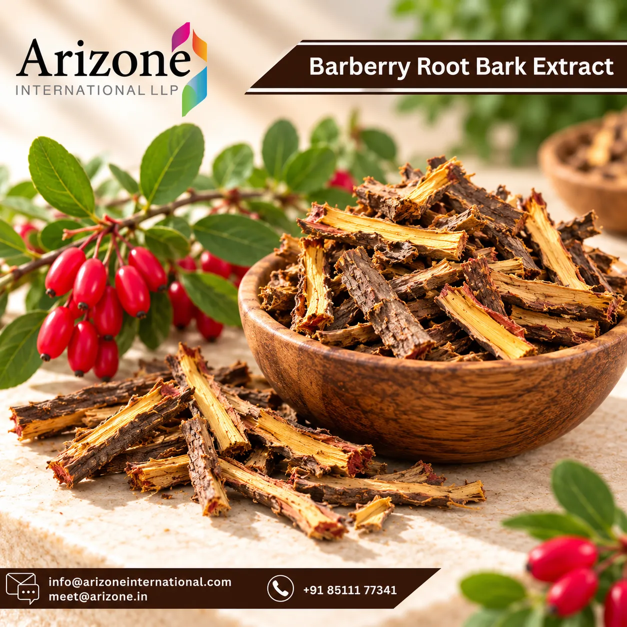 Barberry Root Extract photo 3