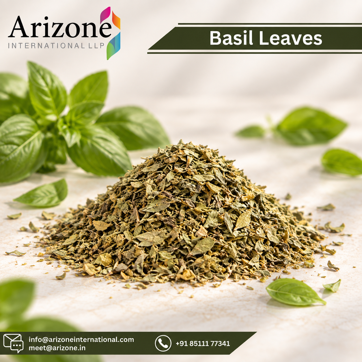 Basil Leaf Capsules photo 3