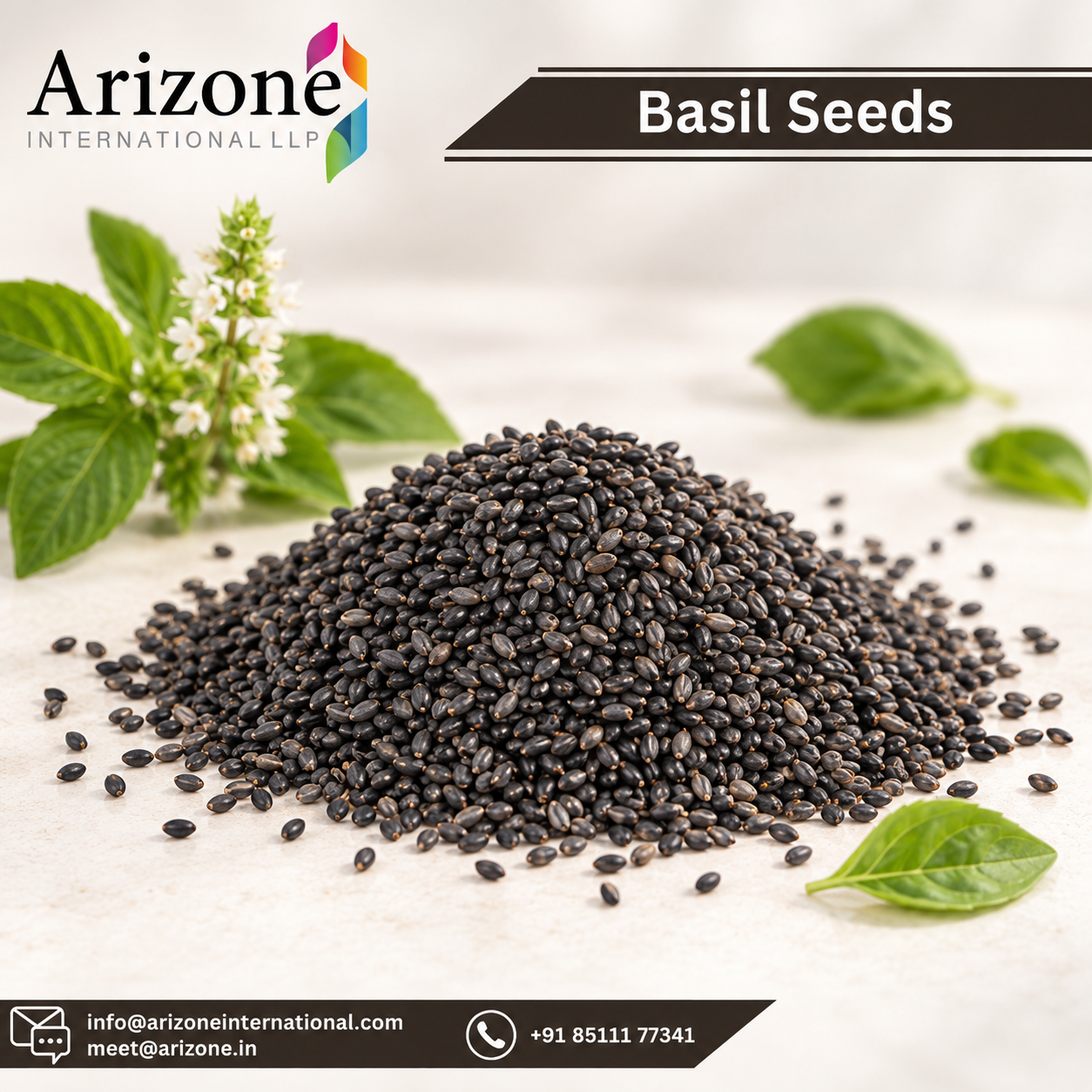 Basil Seeds photo 2