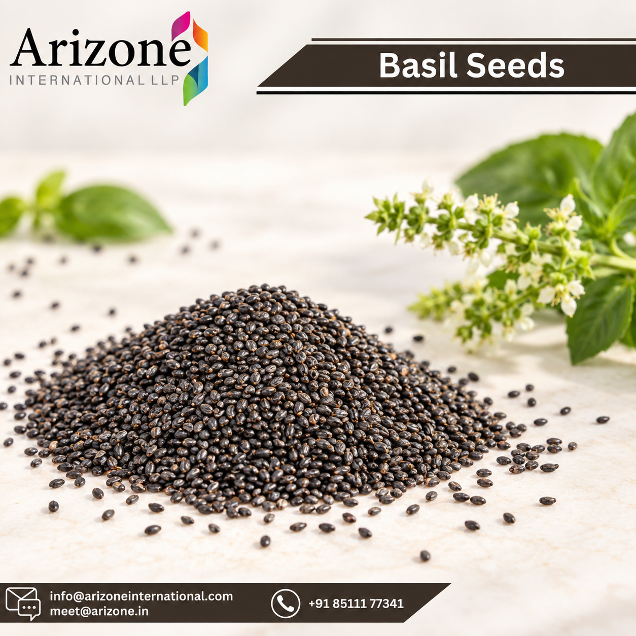 Basil Seeds photo 3