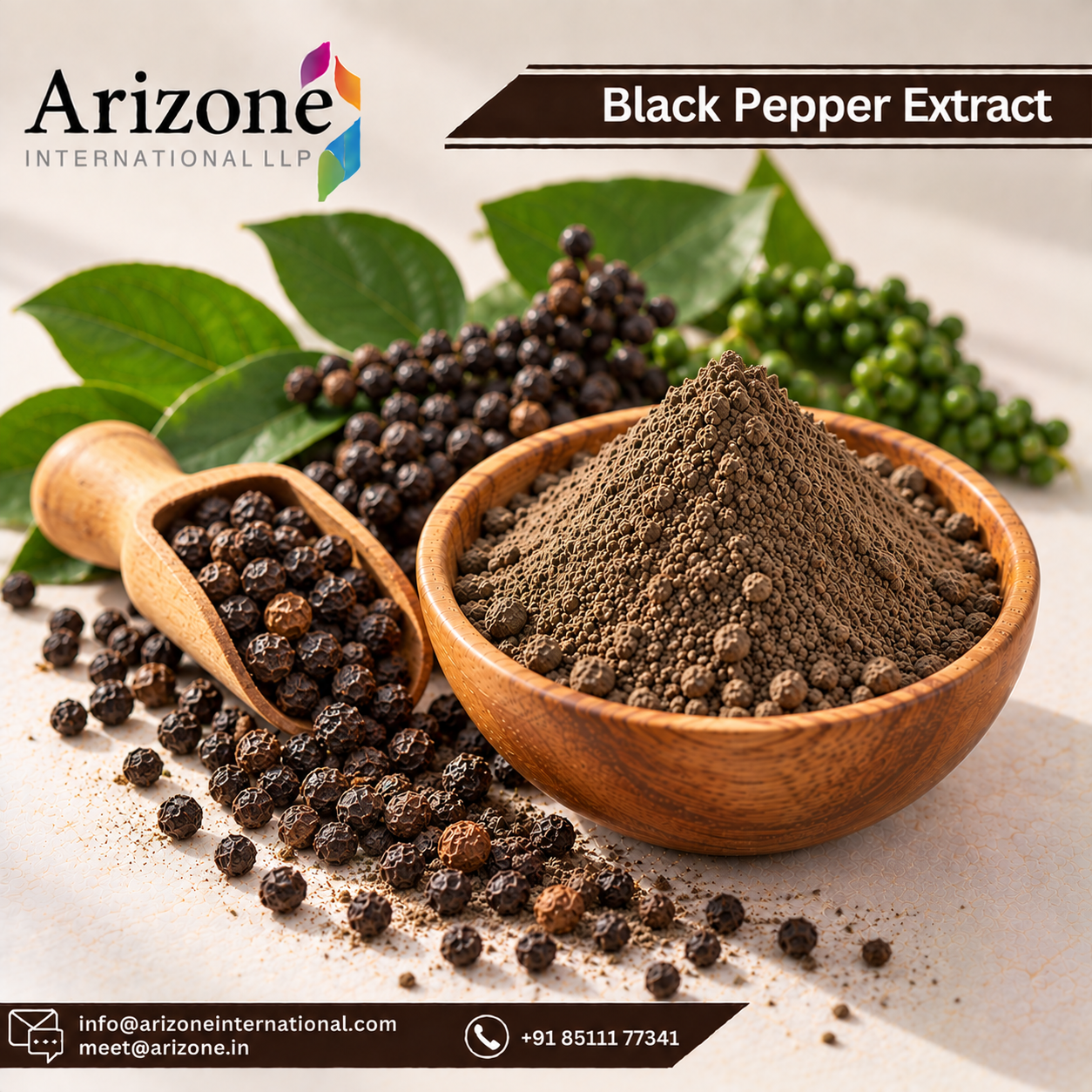 Black Pepper Extract