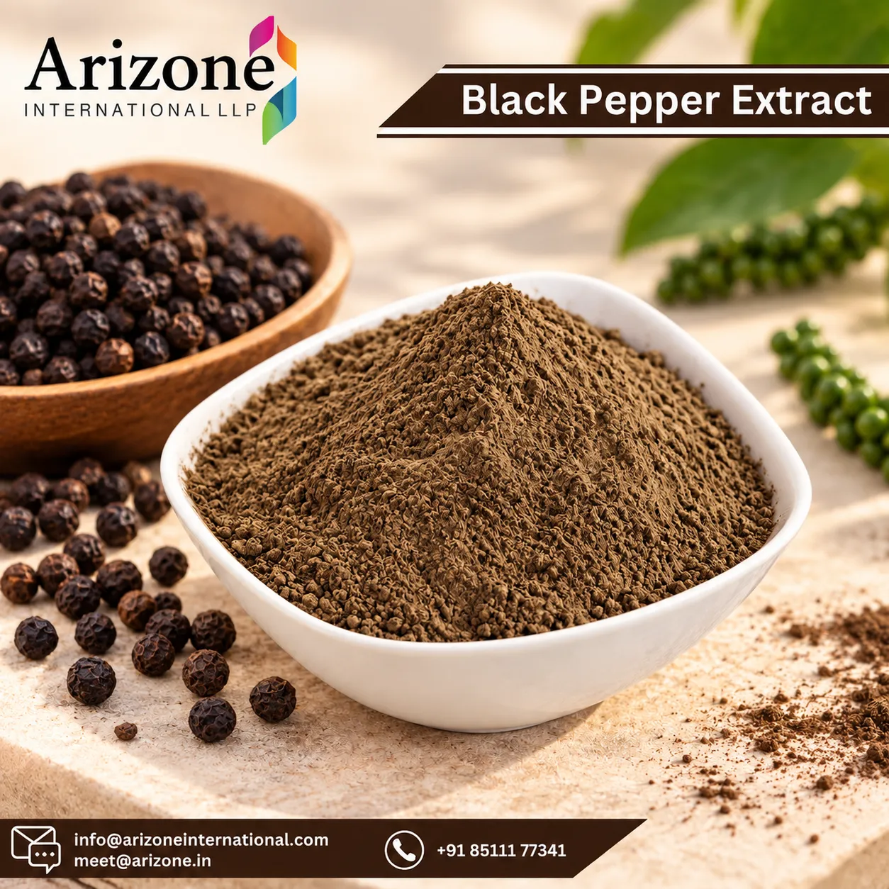 Black pepper extract powder standardised to piperine