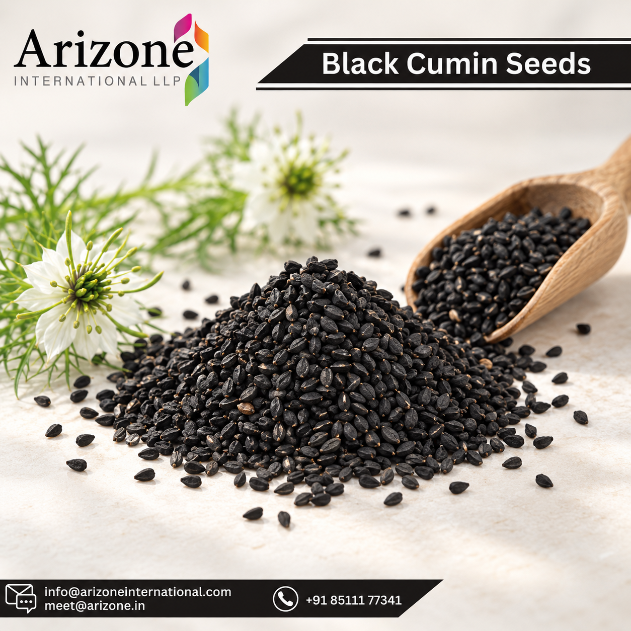 Black Seed Powder photo 1