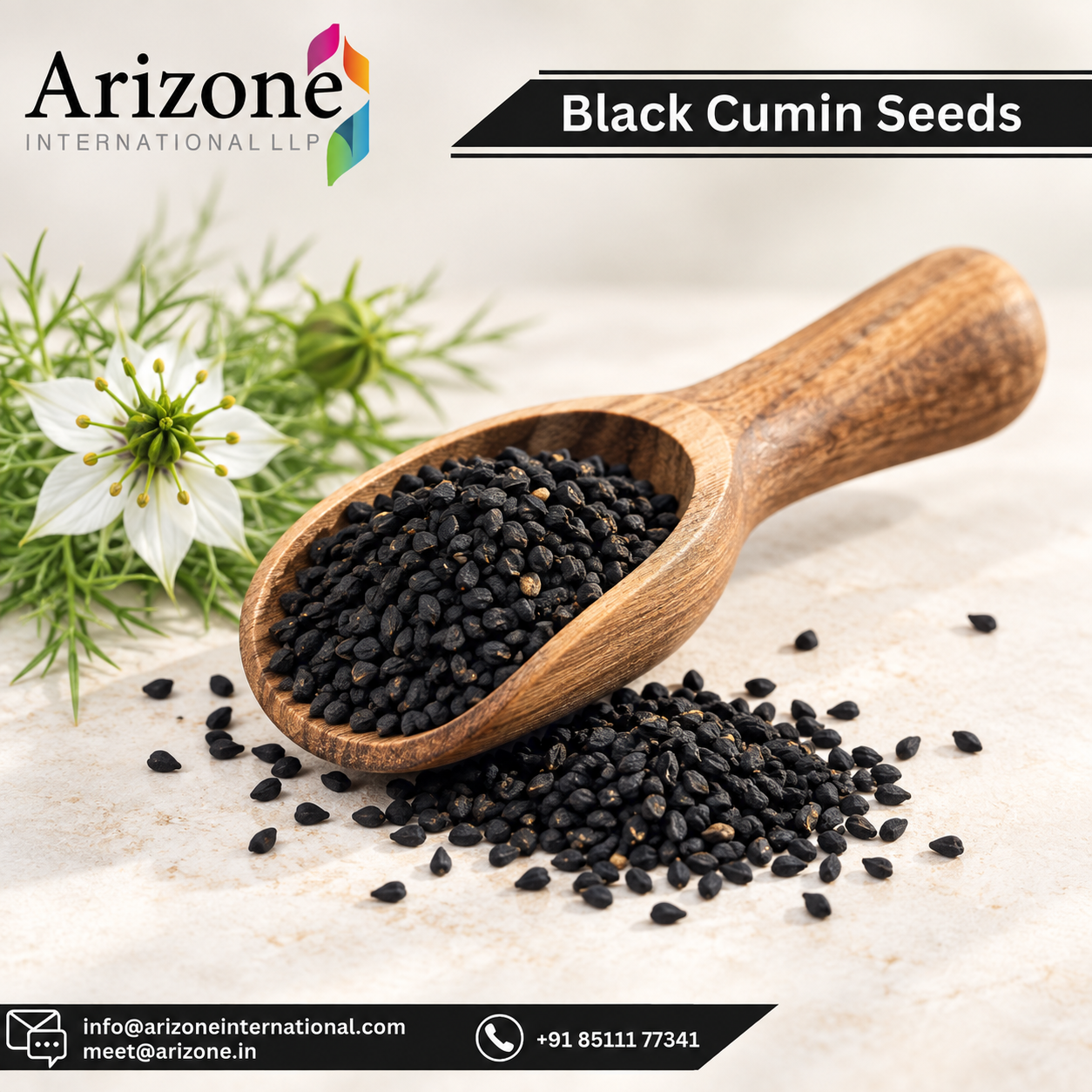 Black Seed Powder photo 2