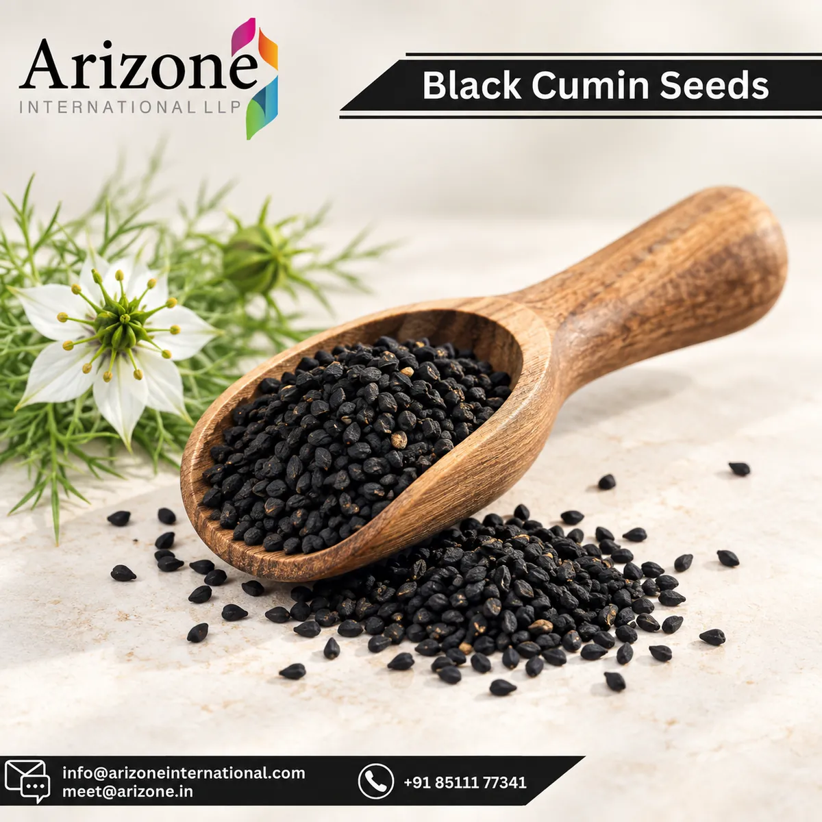 Black Seed Powder photo 2
