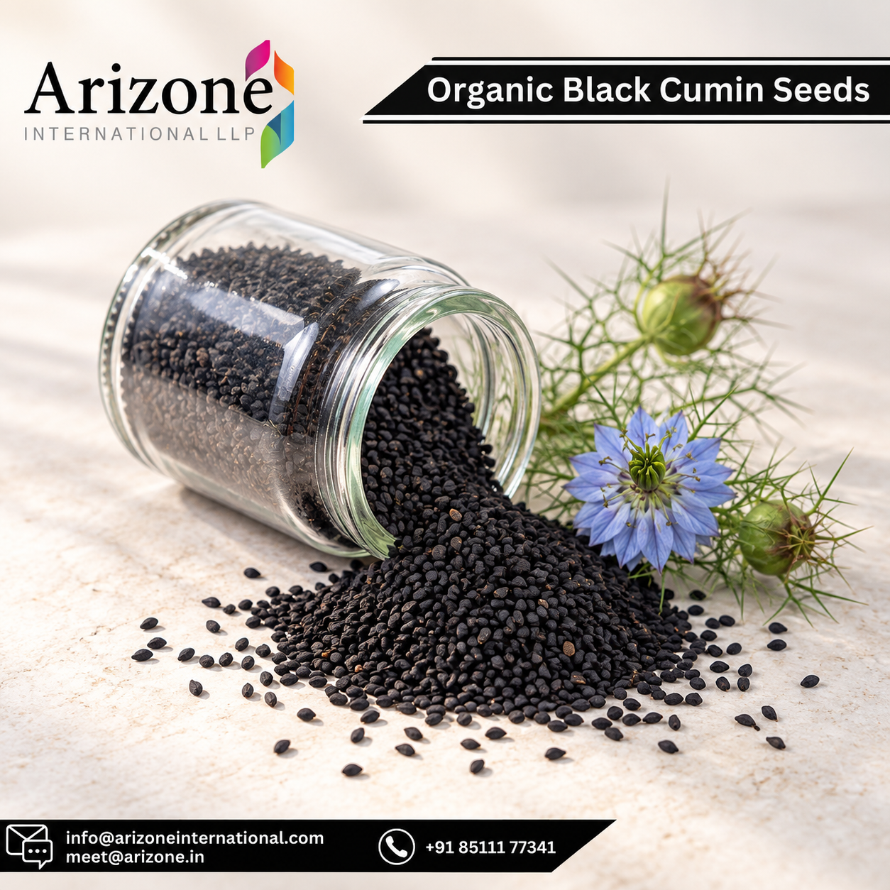 Black Seed Powder photo 7