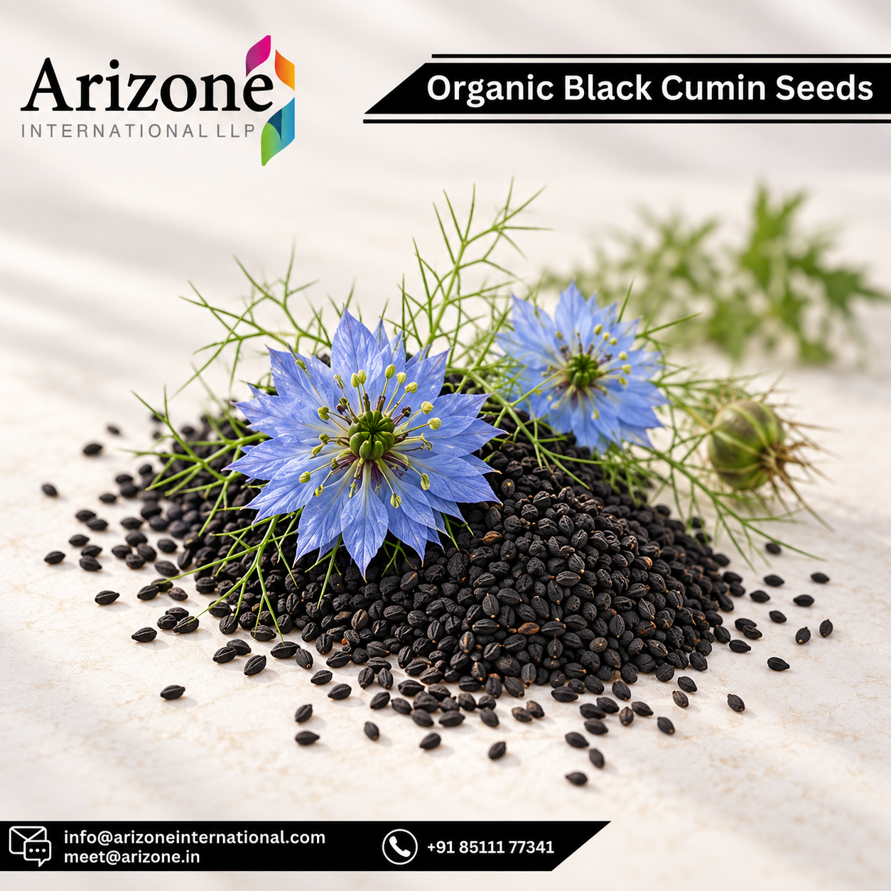 Black Seed Powder photo 9