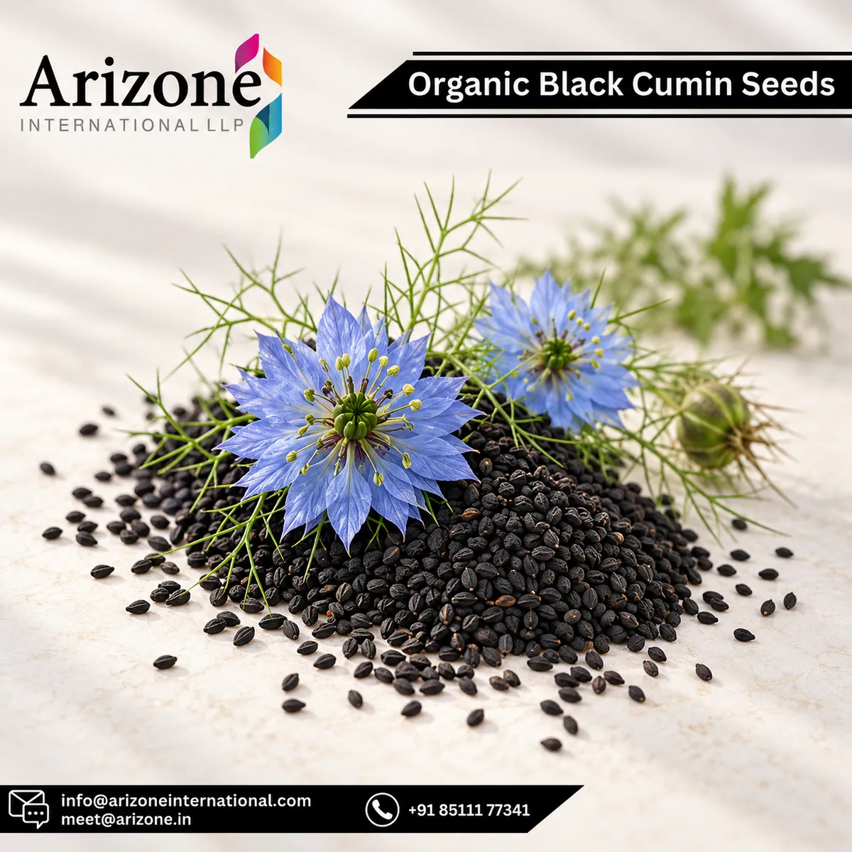 Black Seed Powder photo 8