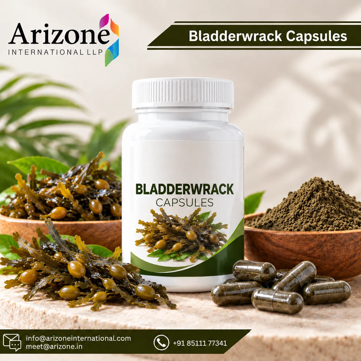 Bladderwrack Capsules photo